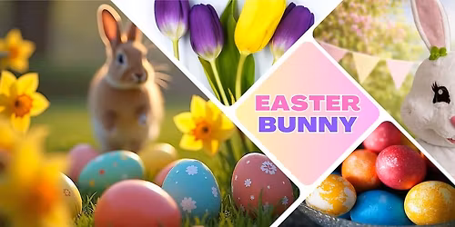 Easter Bunny is coming!