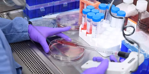 Johns Hopkins Engineering Design Day