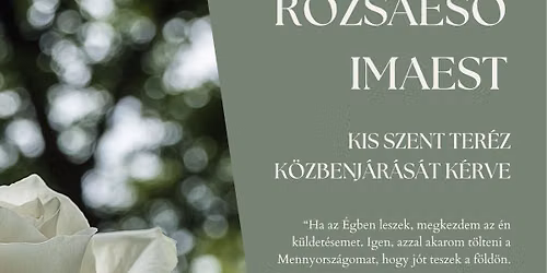 R\u00f3zsaes\u0151 imaest