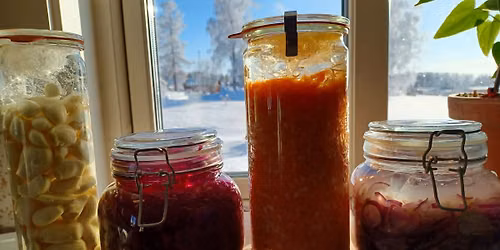 Syrad magi - fermenteringskurs OBS Fullbokad! Nytt datum finns