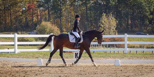 UVM Dressage Schooling Show