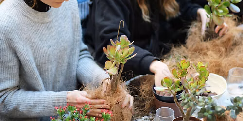 Planteplanet workshop i Orangeriet