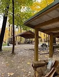 Autumn Detox & Grounding: Elemental Forest Bathing Experience