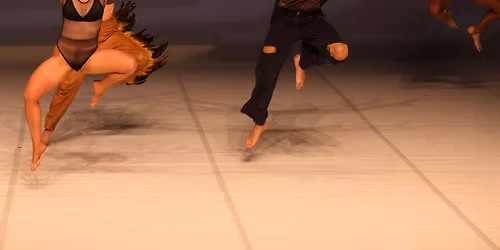 Lenio Kaklea, The Birds, 2025 (US Premiere)