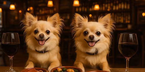 Tapas y Vinos \ud83c\udf2d\ud83c\udf54\ud83e\udd50\ud83e\udd57\ud83e\udd59\ud83c\udf56\ud83c\udf57\ud83c\udf7b\ud83c\udf77\ud83c\udf7e\ud83e\udd42\ud83c\udf7b\ud83c\udf75\ud83e\uded6