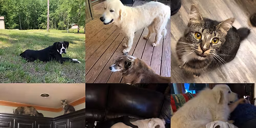 City of Spartanburg Trunk or Treat