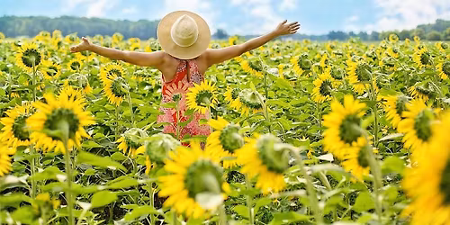 Atelier d'Initiation \u00e0 la Psychologie Positive