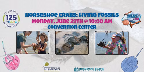 Horseshoe Crabs: Living Fossils