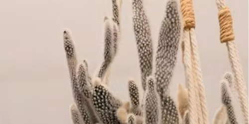 Macram\u00e9 Plant Hanger with Kaitlyn Telkamp