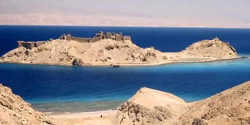 Midsingle Adult Come Follow Me Dinner and Discussion