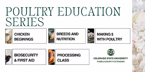 Poultry Education Series