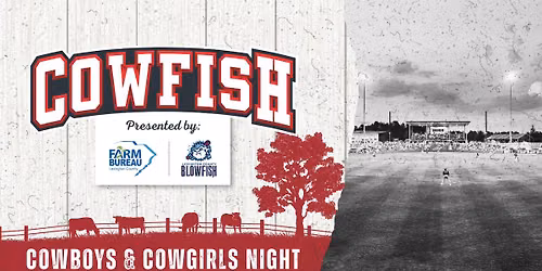 Holy Cow! Cowfish Baseball | Cowboys & Cowgirls Night