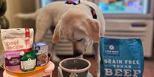 Finally! A Tasting Event for Picky Dogs