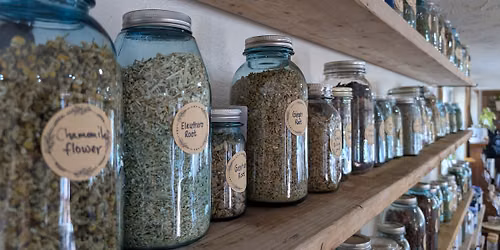Herbalist Collective