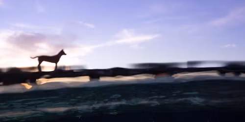 Underwater Photography- A Topside Adventure 