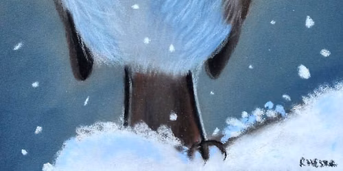 Robin in Snowflakes Pastels Workshop with Roxy