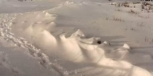 Picayune, MS Celtic Christmas House Concert 