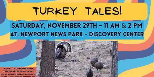 Turkey Tales