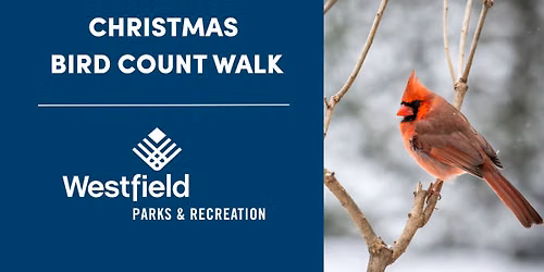 Christmas Bird Count Walk