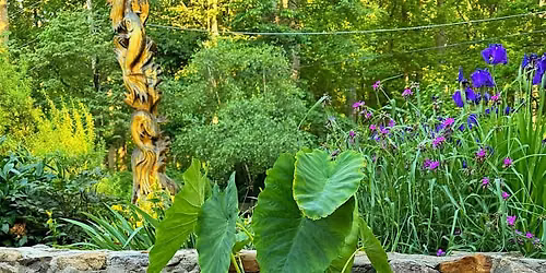 Container Planting