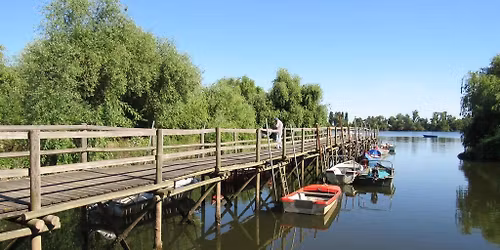 Caminhando pelas Aldeias Avieiras e Passeio de Barco