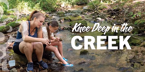 Knee Deep in the Creek