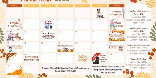 Holiday Manners Dog Training Class