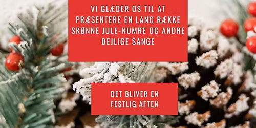 Julekoncert med Rytmekoret i Slagelse