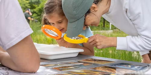 Nature Play for All