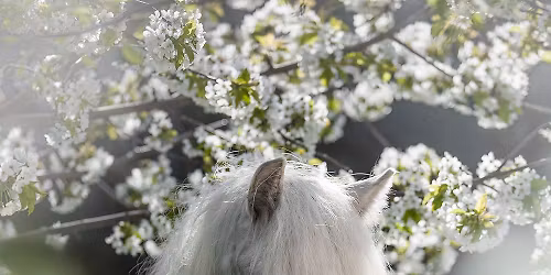 Kud\u0142aty Plener Fotograficzny 2026