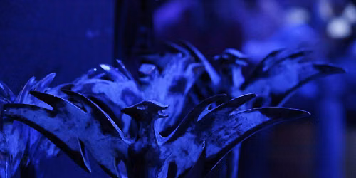 Caucasus Music Award Phoenix  26 ~ Official Music Ceremony 