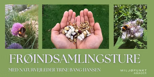 Fr\u00f8indsamlingsture - l\u00e6r at indsamle vilde fr\u00f8