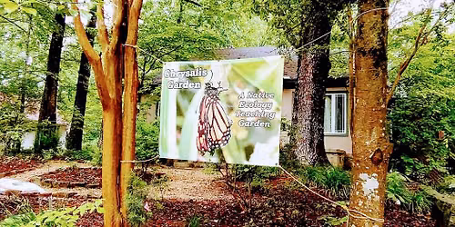 Last of Spring Native Plant Sale--June 28th