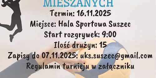 Niepodleg\u0142o\u015bciowy Turniej Dru\u017cyn Mieszanych