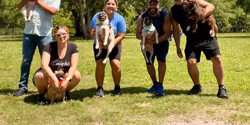 July Pug Meet-Up