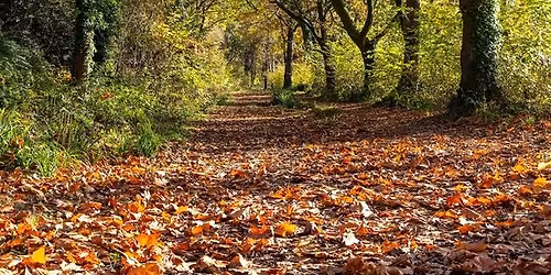 Capturing Torrington - A Photography Course