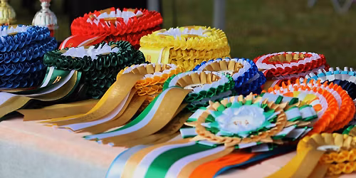 Flattien erikoisn\u00e4yttely 2026