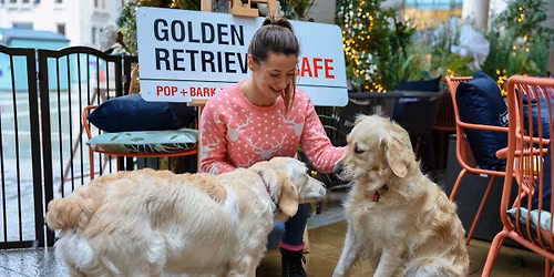 GOLDEN RETRIEVER CAFE - KENT