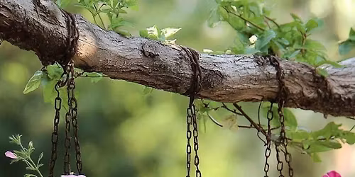 Gore A & P Beyond the gate garden tour and market day