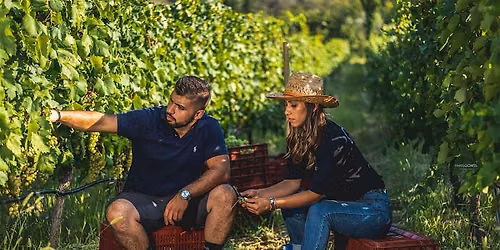 GREECE UNCORKED: FINE WINE & MEDITERRANEAN PLATES