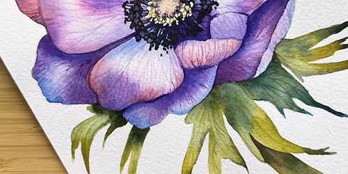 Purple Anenome Watercolour Workshop with Rita Gould