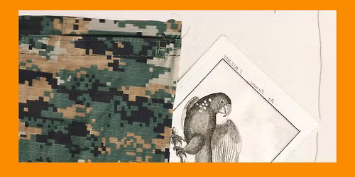 Er\u00f6ffnung: "Camuflajes" | Neue Galerie Graz