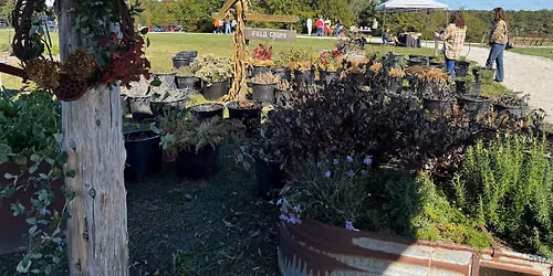Fall Harvest Festival