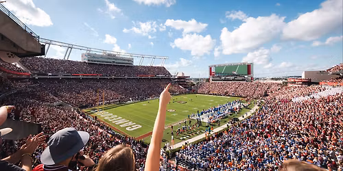Charlotte 49ers at South Carolina Gamecocks Baseball