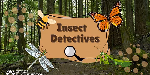 Insect Detectives