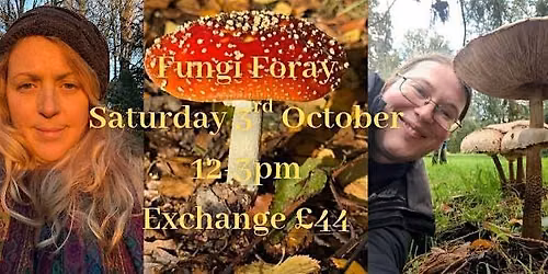 Fungi Foray