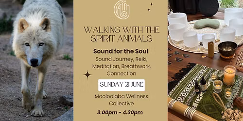 Walking with the Spirit Animals - Sound for the Soul
