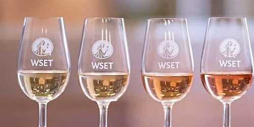 An Evening of wine Tasting
