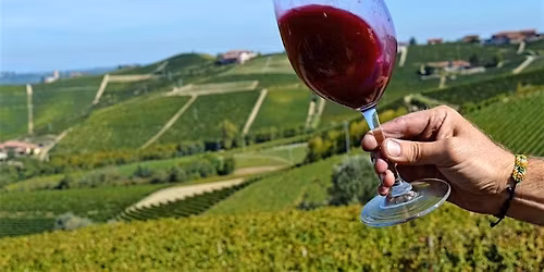 Discover the Wines of Piemonte, Italy