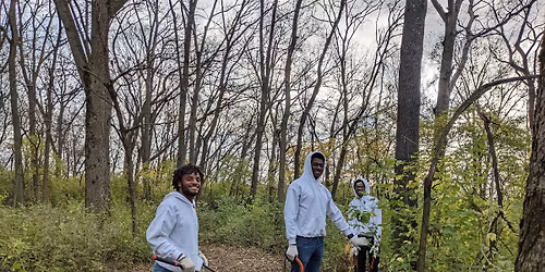 BEST Volunteer: Invasive Species Removal
